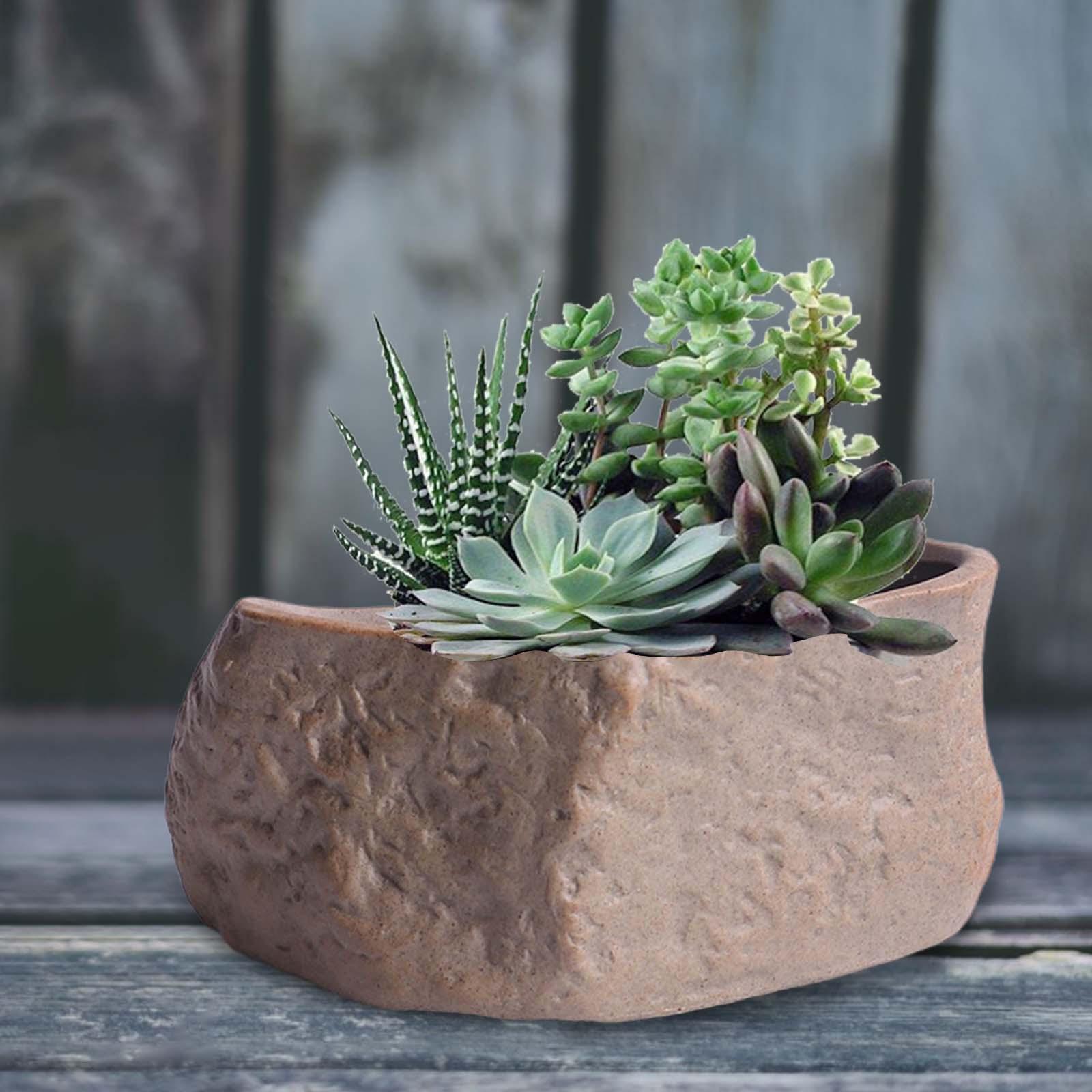 Training Pot Ceramic - Керамический горшок для суккулентов, легкий, для