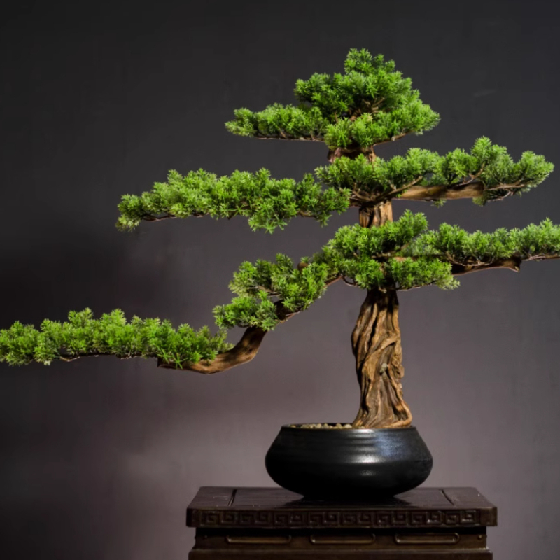 Bonsai Garden Entrance - Домашние приветственные сосновые украшения, имитация керамического