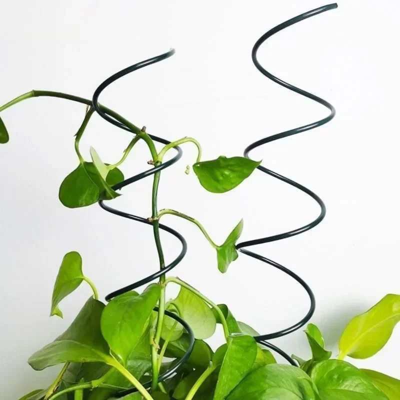 Опоры для вьющихся растений, п – обзор и цена Bonsai Gardening