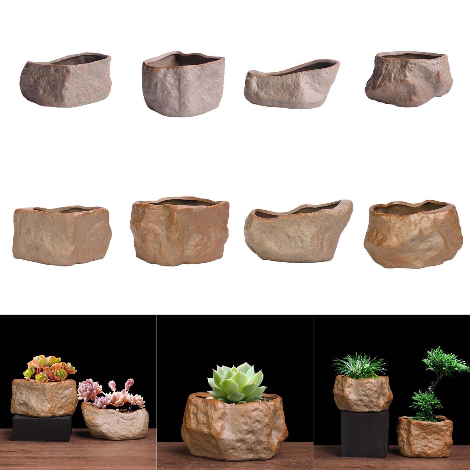 Керамический горшок для суккул – обзор и цена Training Pot Ceramic