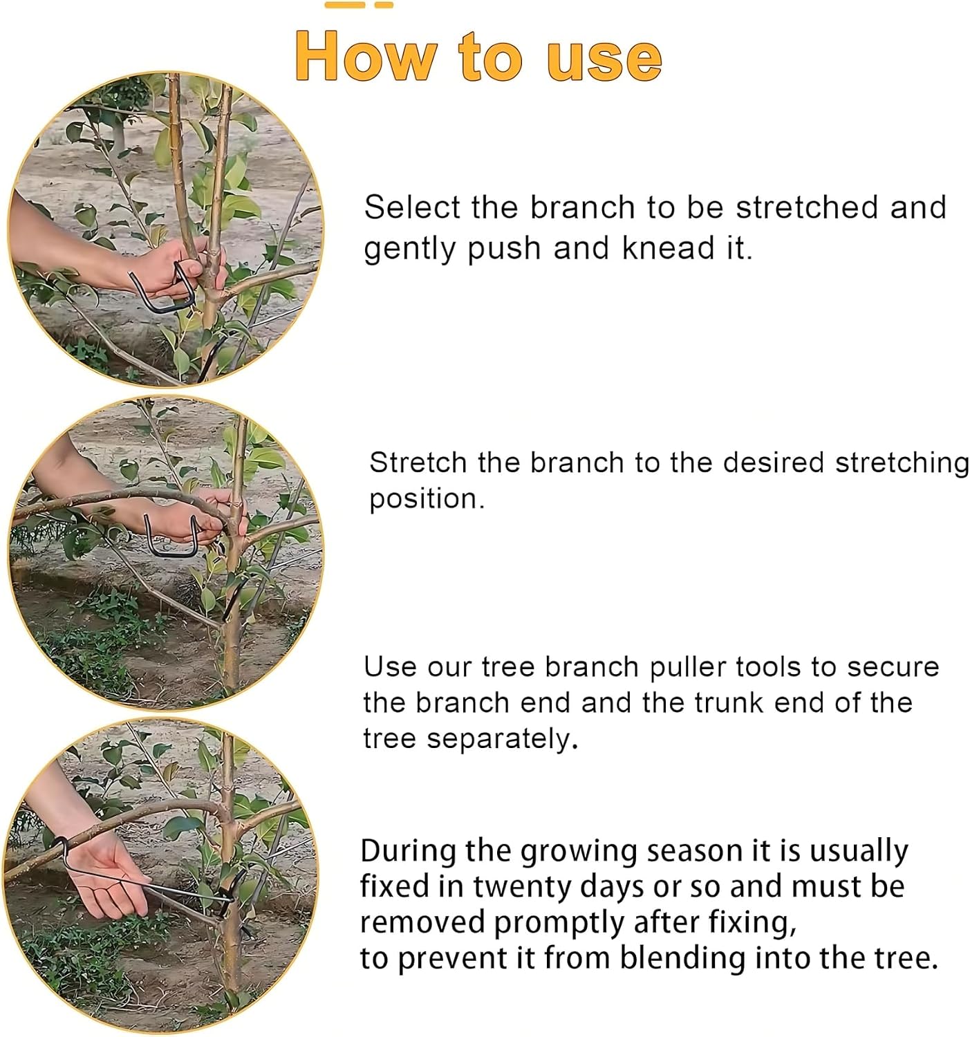 Регулируемый формирователь вет – обзор и цена Bonsai Gardening