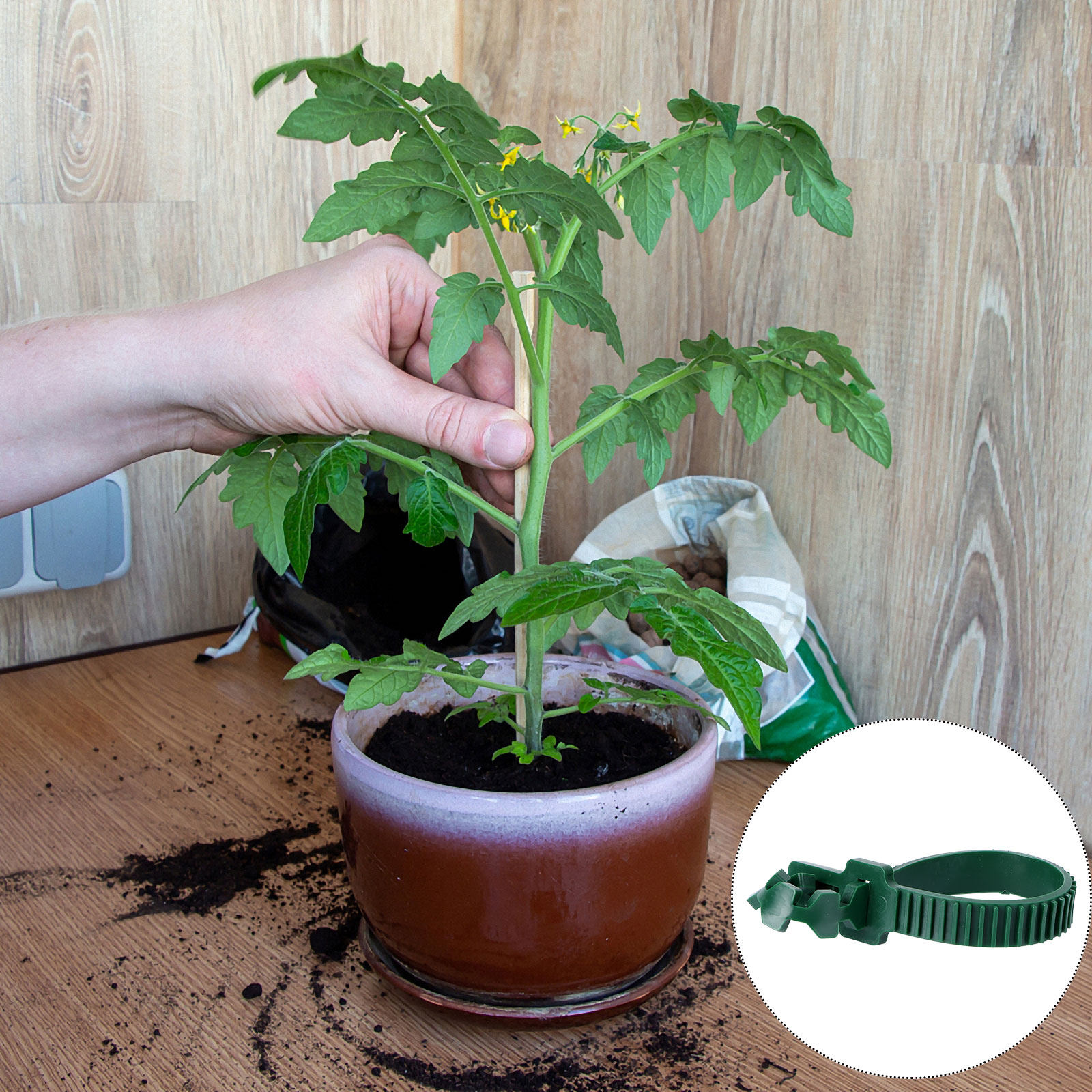 20 шт. зажимов для фиксации ра – обзор и цена Bonsai Gardening
