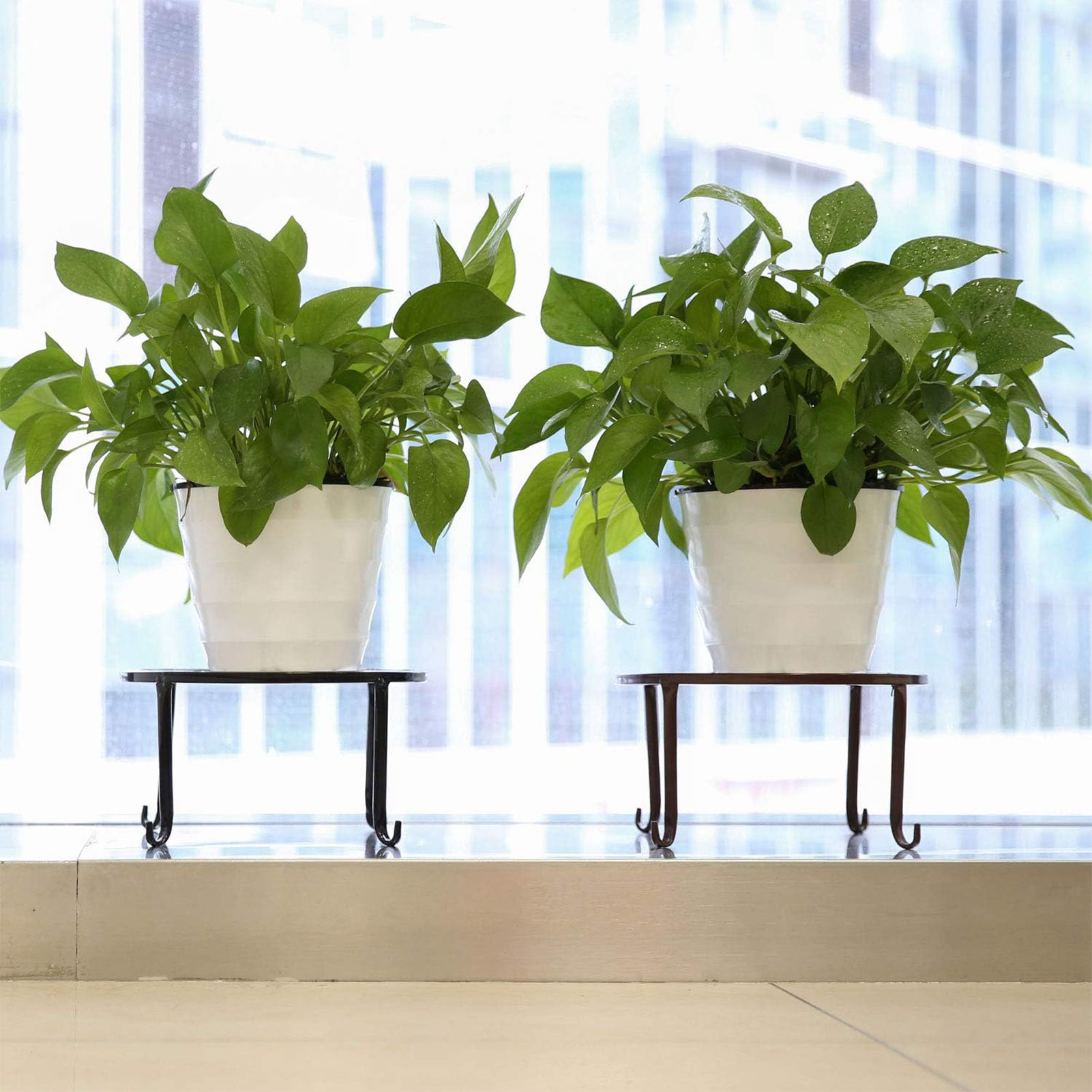 1 шт. металлическая подставка  – обзор и цена Bonsai Garden Display Stands