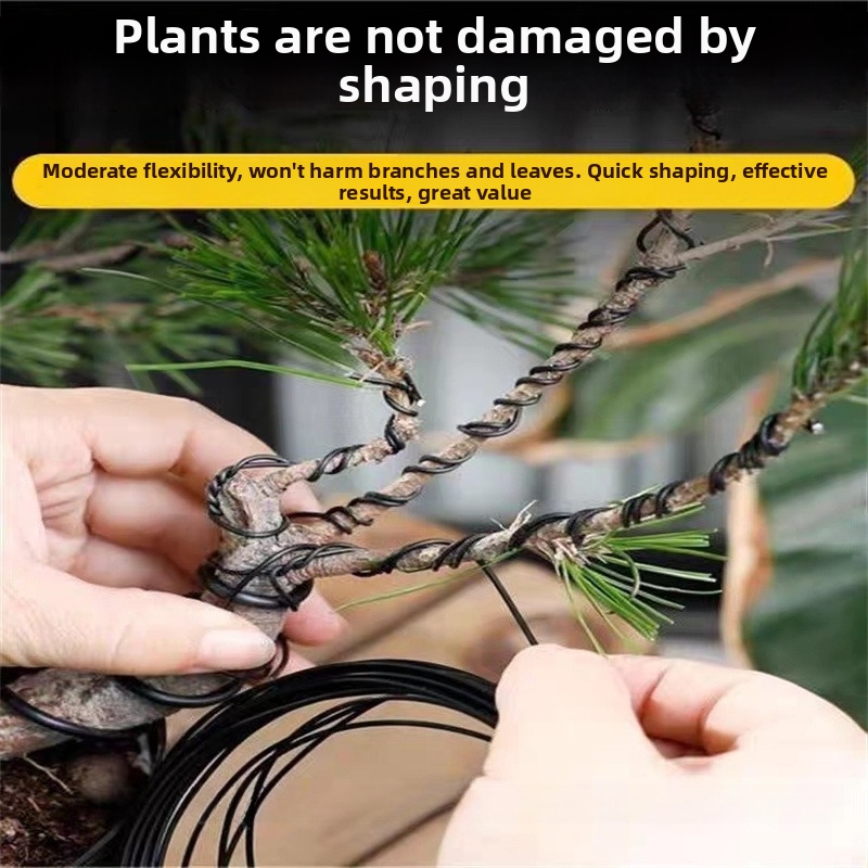 Алюминиевая проволока для бонс – обзор и цена Bonsai Gardening