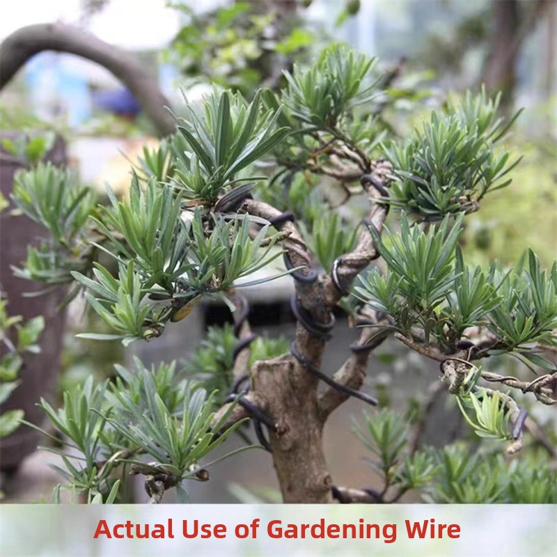 Алюминиевая проволока для бонс – обзор и цена Bonsai Gardening