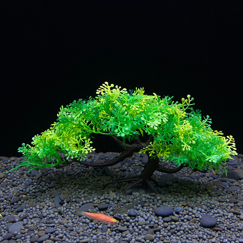 Аквариумное дерево бонсай, рас – обзор и цена Bonsai Garden Sushi