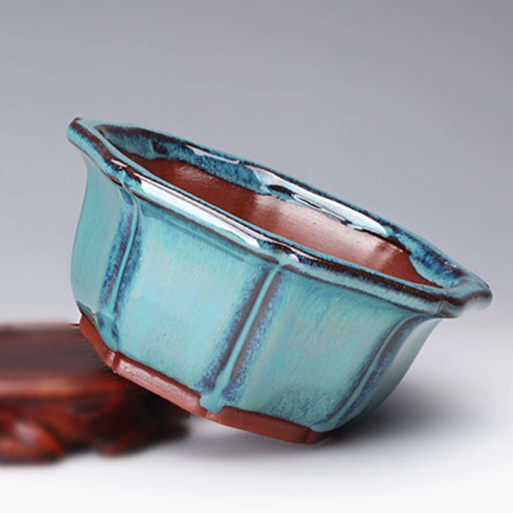 Бонсай в китайском стиле, горш – обзор и цена Training Pot Ceramic