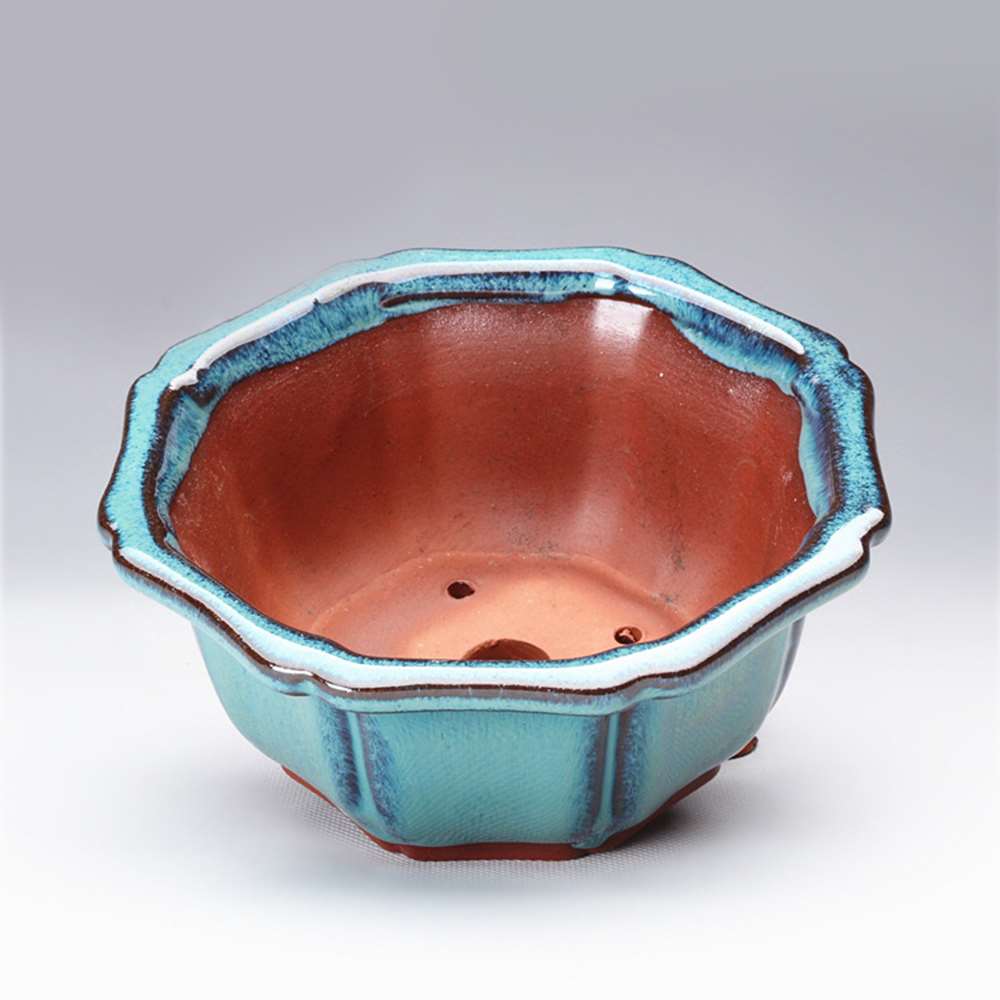 Горшки для бонсай в китайском  – обзор и цена Training Pot Ceramic